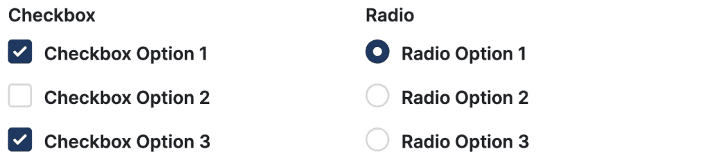 Checkbox and radio example